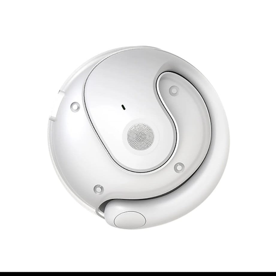 AI TRANSLATOR EARBUDS