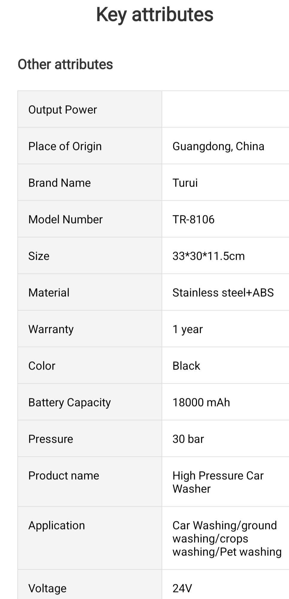 TERUI  MINI PRESSURE WASHER  /POWER WASHER