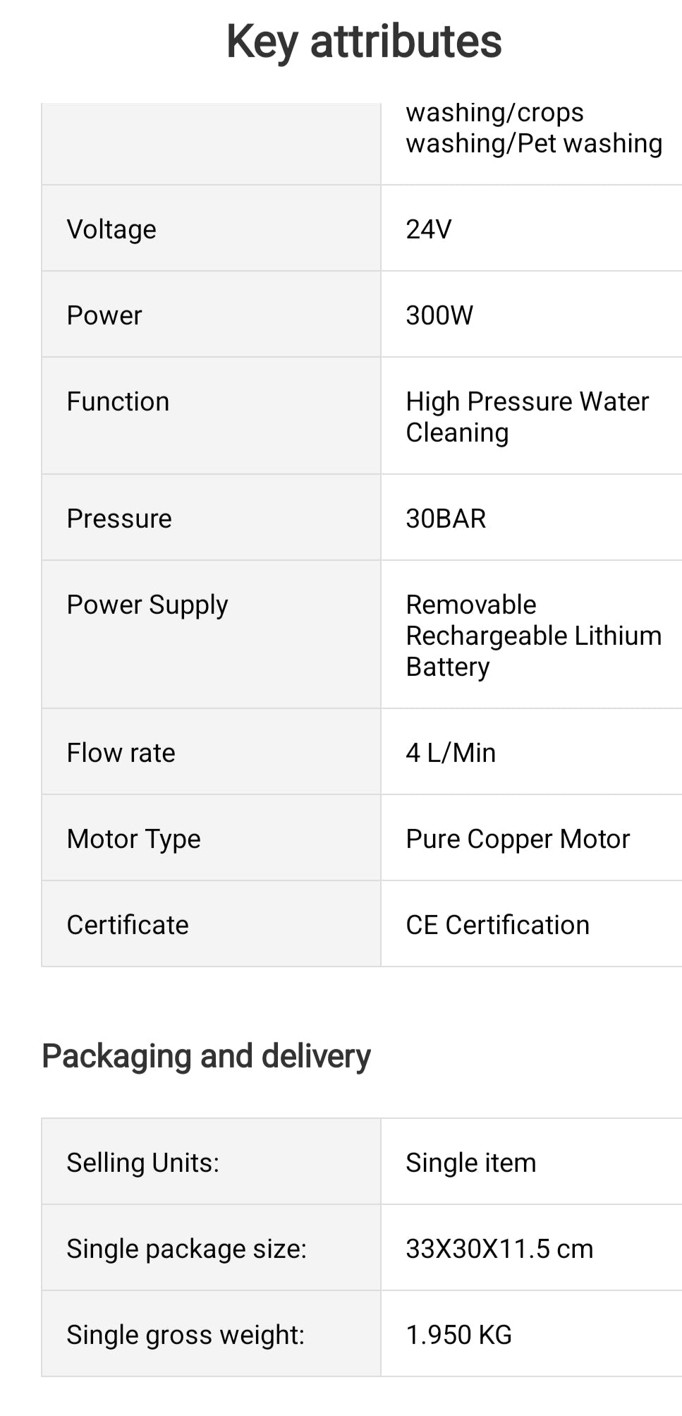 TERUI  MINI PRESSURE WASHER  /POWER WASHER