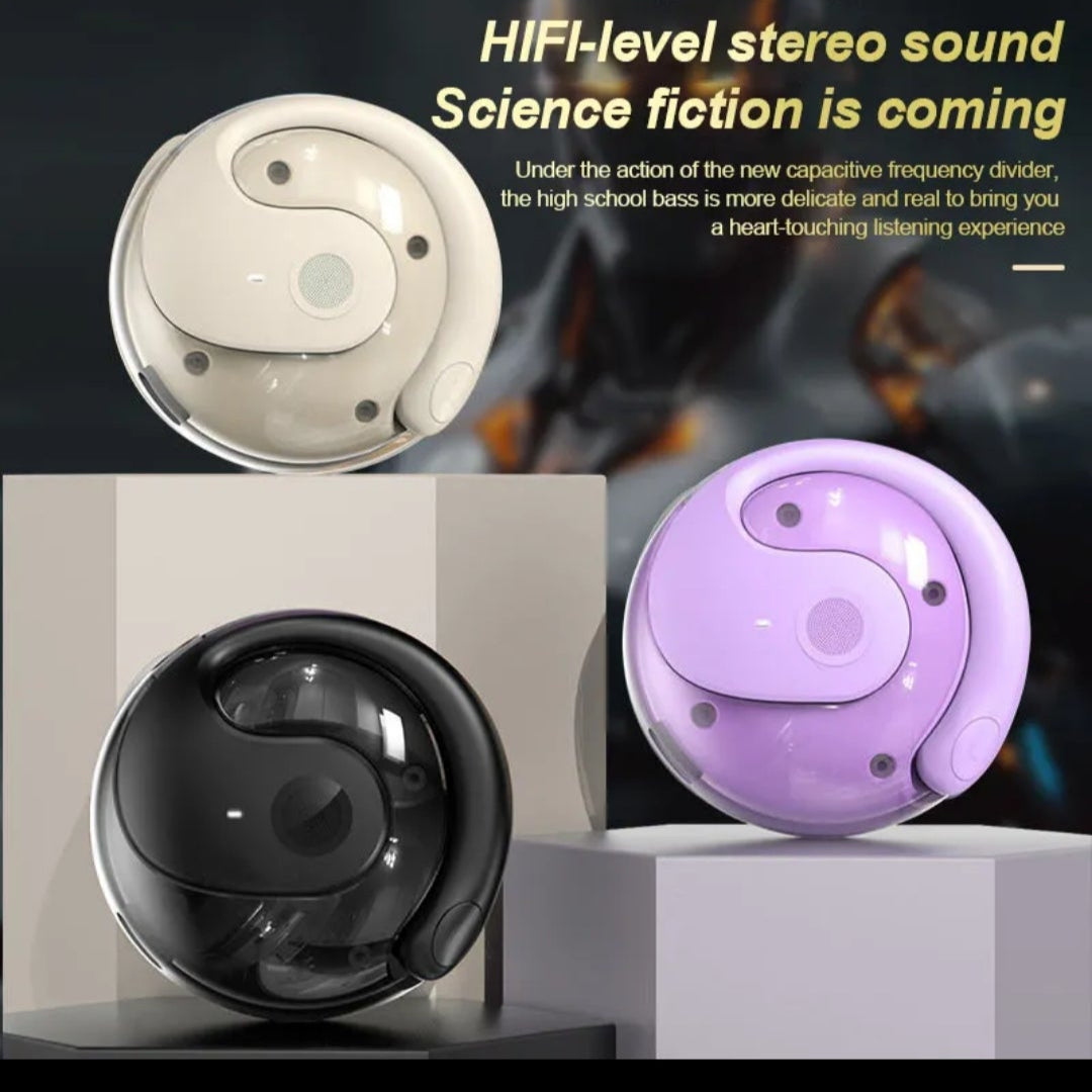 AI TRANSLATOR EARBUDS
