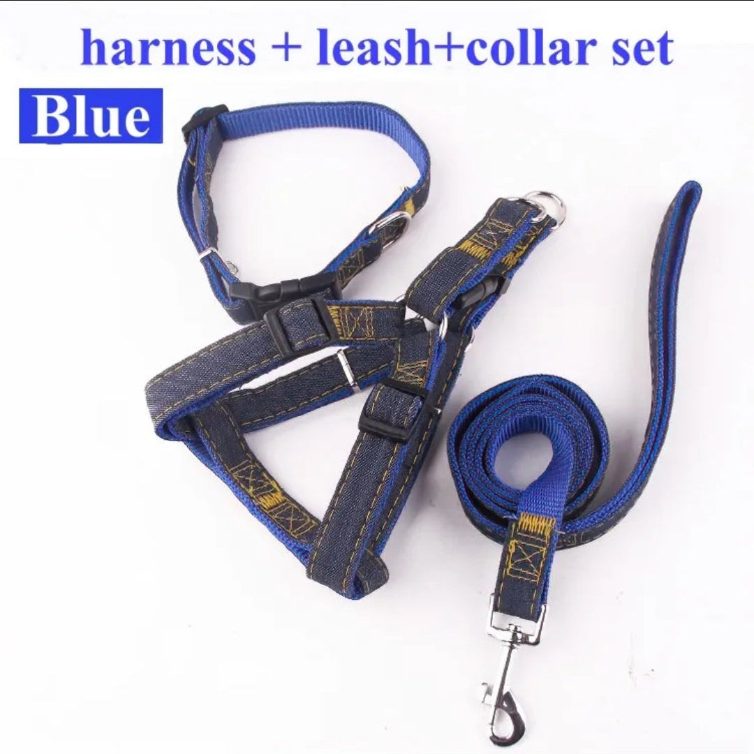 3 PIECE DOG COLOR SET