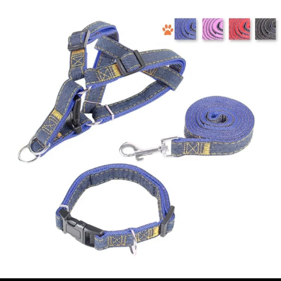 3 PIECE DOG COLOR SET