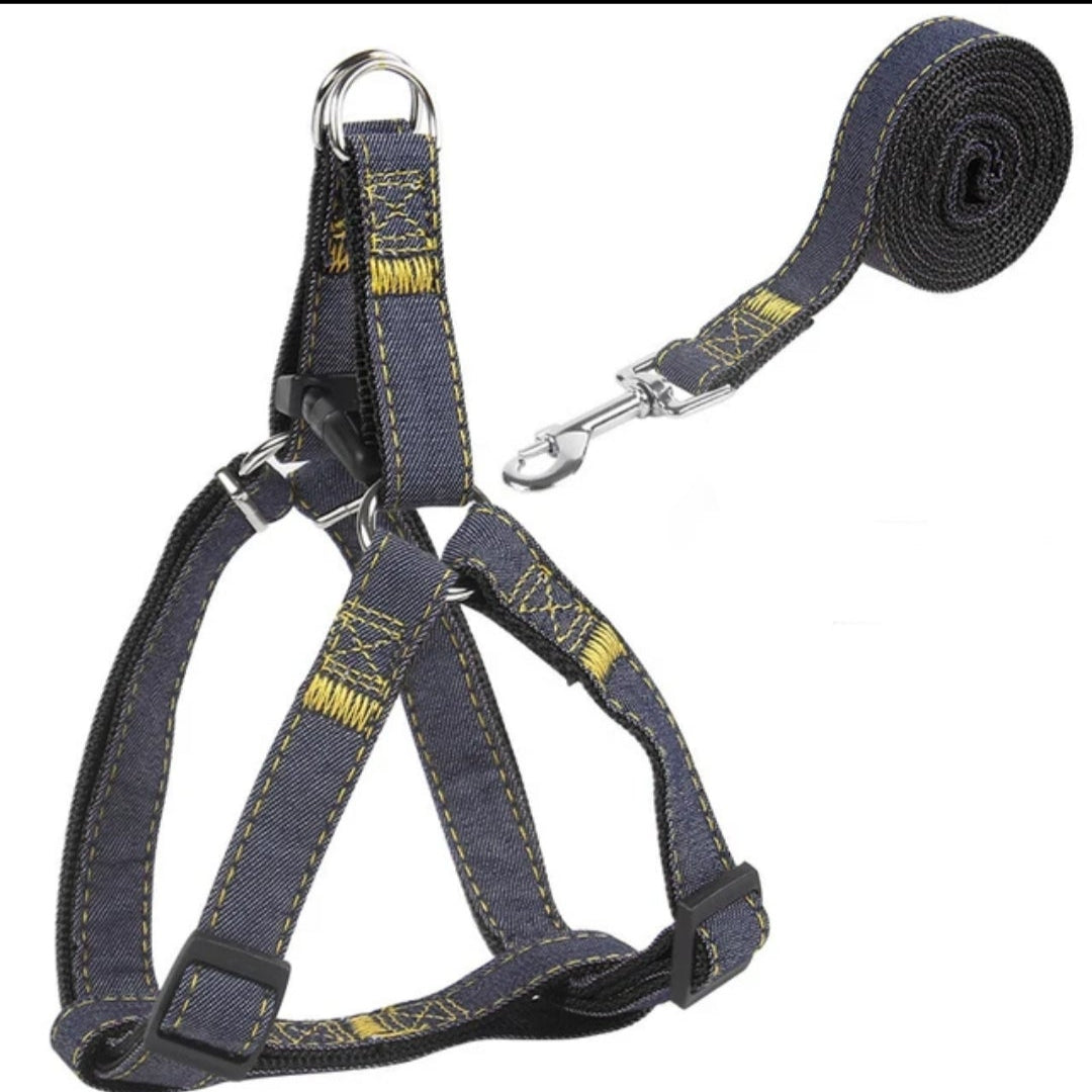 Dog harness and leash set on a white background