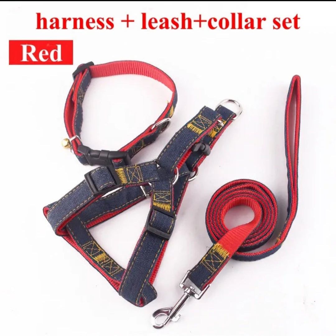 Dog harness, leash, and collar set with red strap on a white background