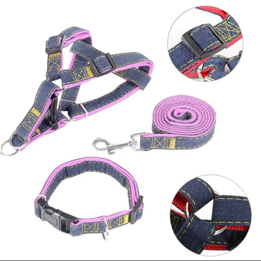 Dog harness, leash, and collar set with pink accents on a white background