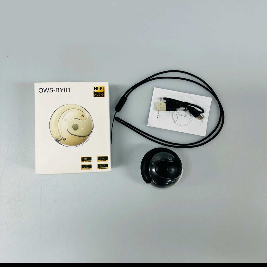 AI TRANSLATOR EARBUDS
