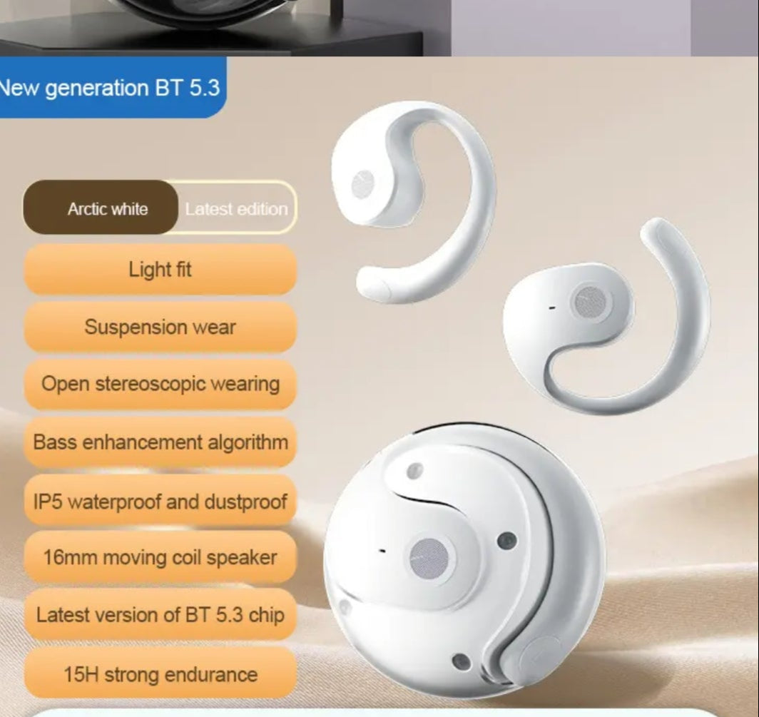 AI TRANSLATOR EARBUDS