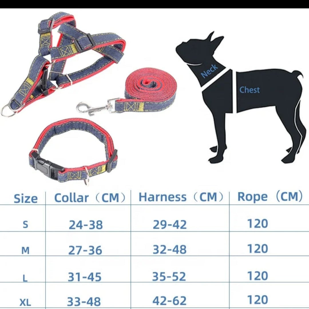 3 PIECE DOG COLOR SET